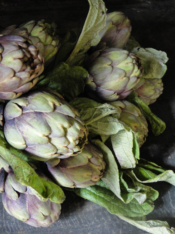 artichokes-3