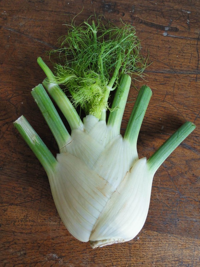 fennel tarte Tatin-6