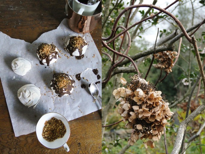 meringues&hydrangea