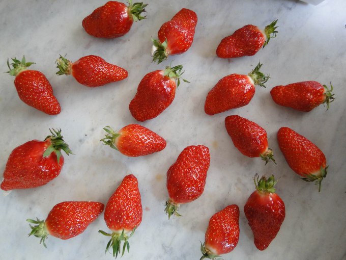 strawberriy tartlets-14