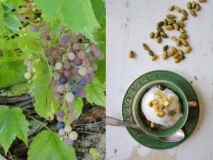 grape-sorbet